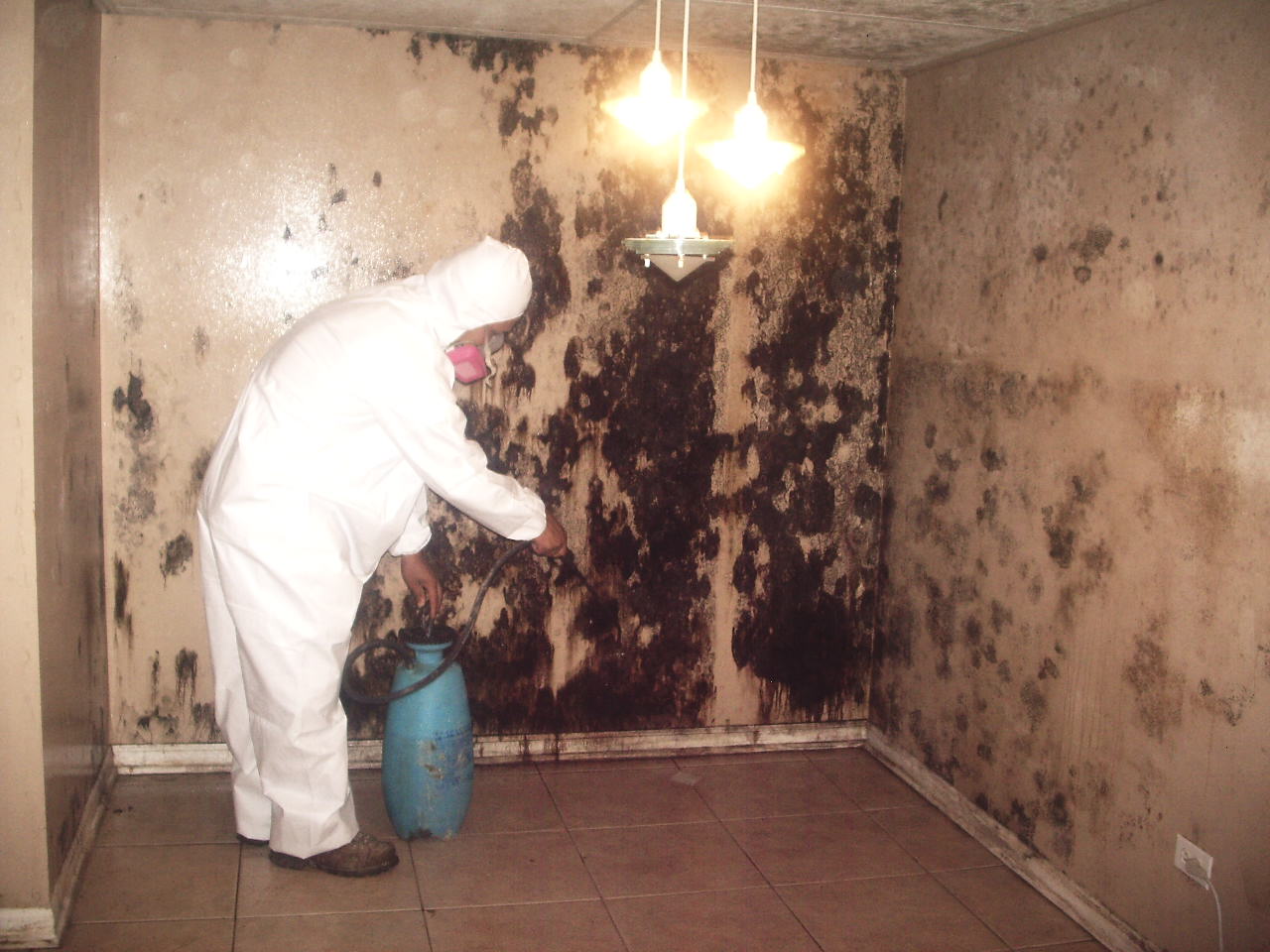 Mold Removal How One Call Can Keep Your Family Safe