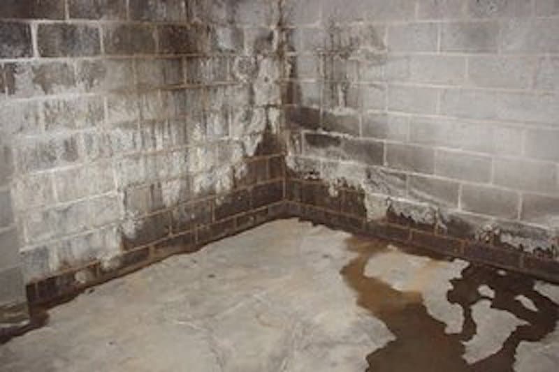 basement-moisture