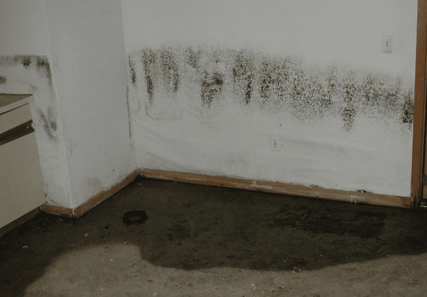 Here's What You Didn't Know About Basement Moisture Control in Sandy Springs GA Everdry Atlanta