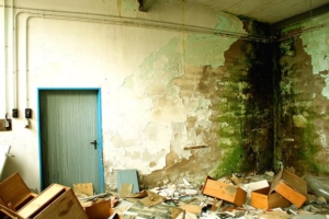 Basement Waterproofing | Marietta, GA | Everdry Atlanta