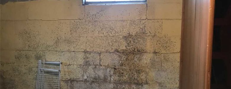 Bowed Basement Walls | Marietta, GA | Everdry Basement Waterproofing Atlanta