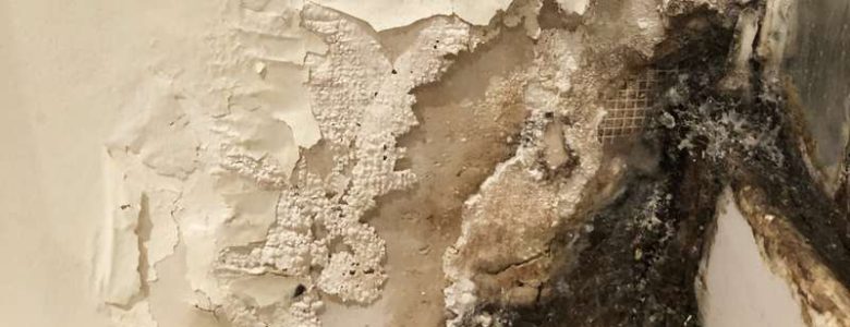 mold-remediation-marietta-ga-everdry-basement-waterproofing-atlanta-3